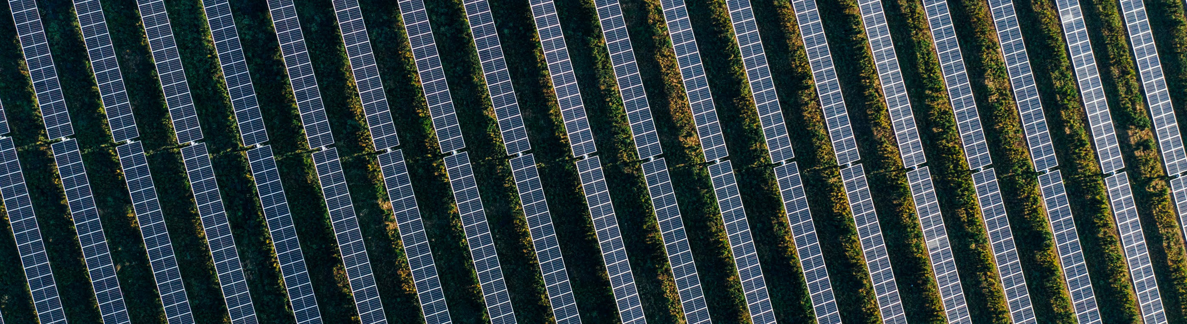 Utility-Scale Solar Power | Photon Energy